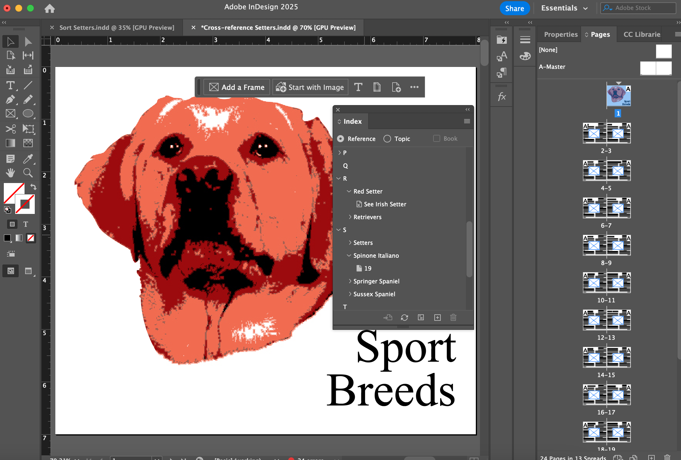 Project Builder 2